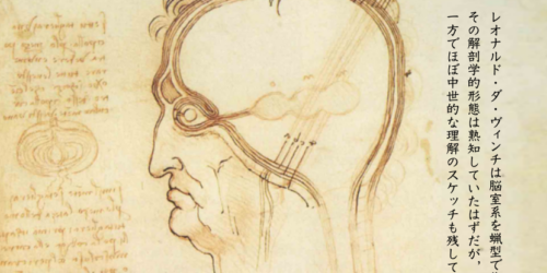 レオナルド・ダ・ヴィンチは脳室系を蝋型で作り，その解剖学的形態は熟知していたはずだが 一方でほぼ中世的な理解のスケッチも残している．