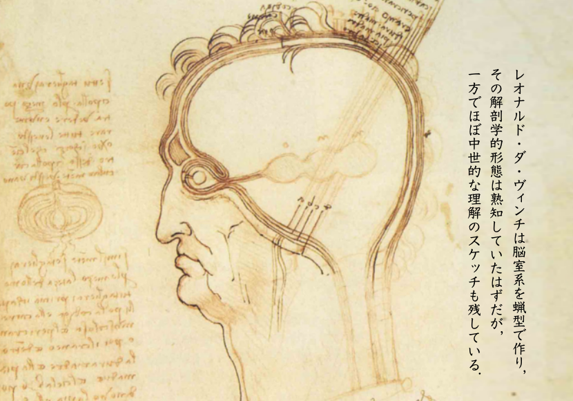 レオナルド・ダ・ヴィンチは脳室系を蝋型で作り，その解剖学的形態は熟知していたはずだが 一方でほぼ中世的な理解のスケッチも残している．
